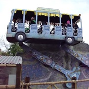 Jungle Bus