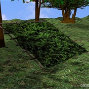 Build a Jungle Shelter