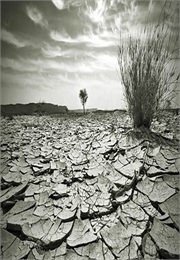 Meet the Climate Sceptics (2010)