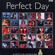 Various Artists - Perfect Day