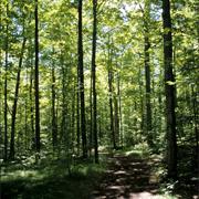 Mark S. Burnham Provincial Park