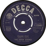 Please Stay - The Cryin Shames