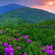 Green Mountains of Vermont