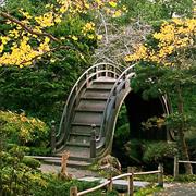 Japanese Garden San Francisco