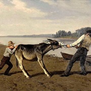 As Stubborn as a Mule