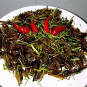 Côn Trùng (Insects)