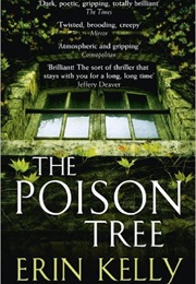 The Burning Air (Erin Kelly)