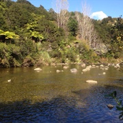 Shag Stream - Kauaeranga Valley