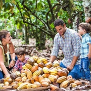 Sendero Del Cacao, Dominican Republic