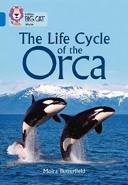 The Life Cycle of the Orca (Moira Butterfield)