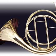 Natural Horn