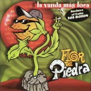 Sos Botón – Flor De Piedra (1999)
