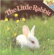 The Little Rabbit