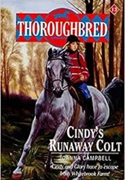 Cindy's Runaway Colt (Joanna Campbell)