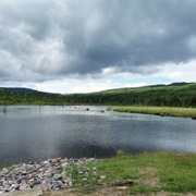 Connecticut Lakes State Forest, New Hampshire