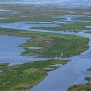 East Cove National Wildlife Refuge
