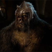 Grodd