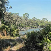 Blackbeard Island National Wildlife Refuge