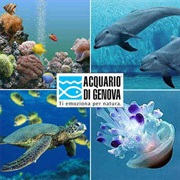 Acquario Di Genova