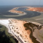 Banc D'Arguin National Park, Mauritania