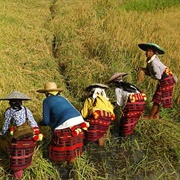Hudhud Chants, Philippines