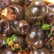 River Snails (Viviparidae)