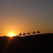 Camel Ride and Camping in the Sahara Desert