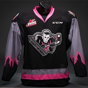 Calgary Hitmen (WHL)