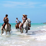 Horseback Ride in the Surf