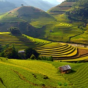 Rice Terraces of Mù Cang Chải, Vietnam