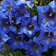 Gran Sasso National Park, Italy