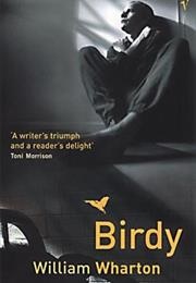 Birdy (William Wharton)