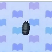 Pill Bug