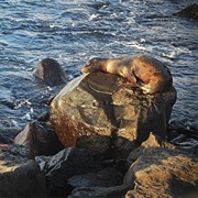 Galápagos Islands - Ecuador