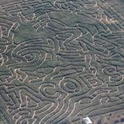 Jacob's Corn Maze, Traverse City
