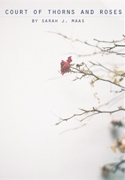 A Court of Thorns and Roses (Sarah J. Maas)