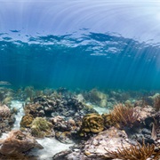 Cheeka Rocks, Florida Keys