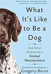 What It's Like to Be a Dog (Gregory Berns)