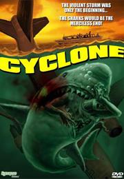 Cyclone