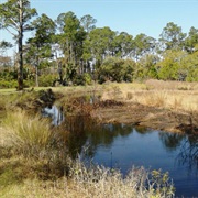 Guana River State Park, Florida