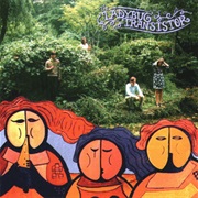 The Ladybug Transistor - The Albemarle Sound