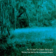 Autumn's Grey Solace- Within the Depths of a Darkened Forest
