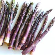Purple Asparagus