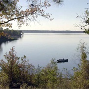 Atlanta State Park, Texas