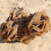 Sand Roses