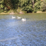 Richmond Hill, Georgia