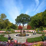 Smell the Roses at Central Park's Conservatory Garden