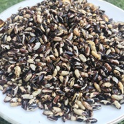 Puffed Black Rice