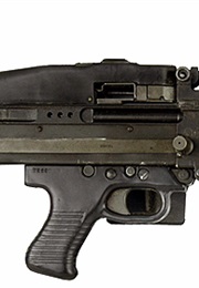 Wild Cats Attack! (1981)