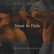 Steve Jansen and Richard Barbieri - Stone to Flesh
